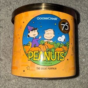 🥳SALE PRICE- SEE NOTES! The Great Pumpkin Peanuts Candle- Celebrating 75 YEARS!